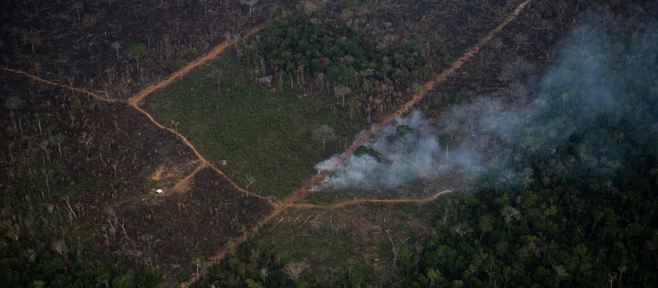 Waldbrände im Amazonas auf historischem Tiefstand Waldbrände im Amazonas auf historischem Tiefstand