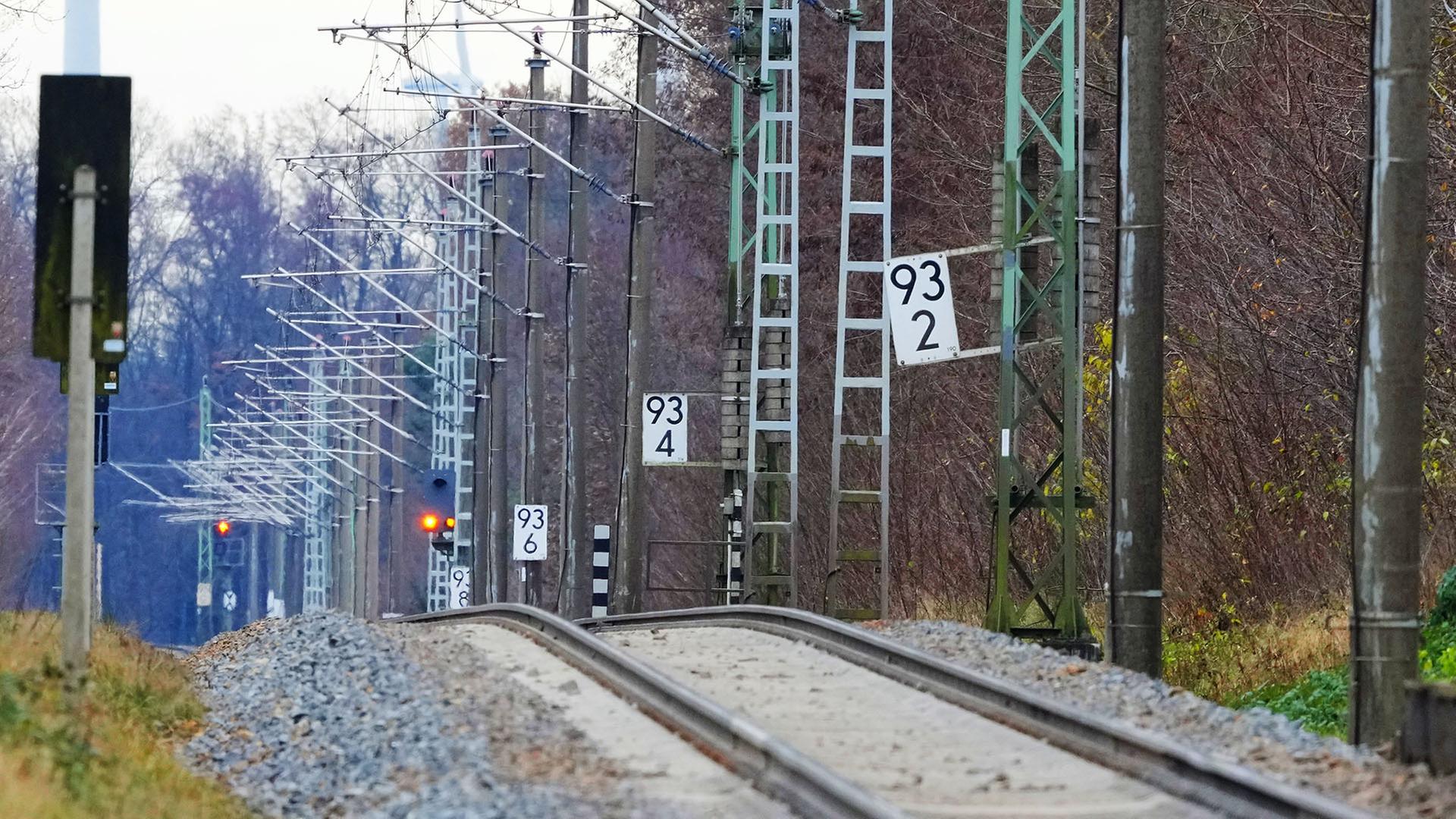 Die einspurige Schienenführung aus Richtung Cottbus kommend (Quelle: picture alliance/dpa/S.Stache) | picture alliance/dpa/S.Stache
