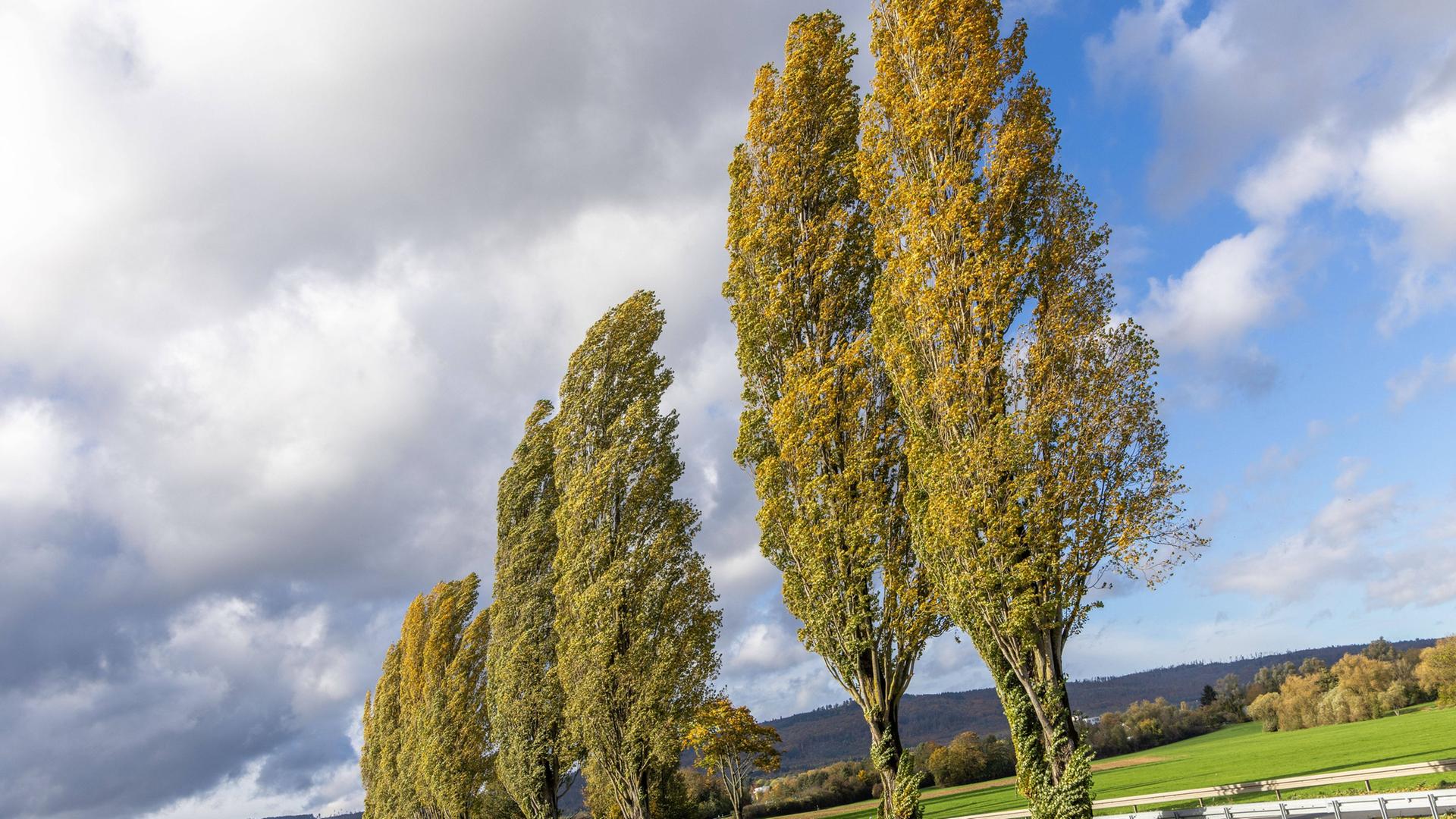Wetter: Erster Herbststurm bringt Regen und Windböen nach Hessen