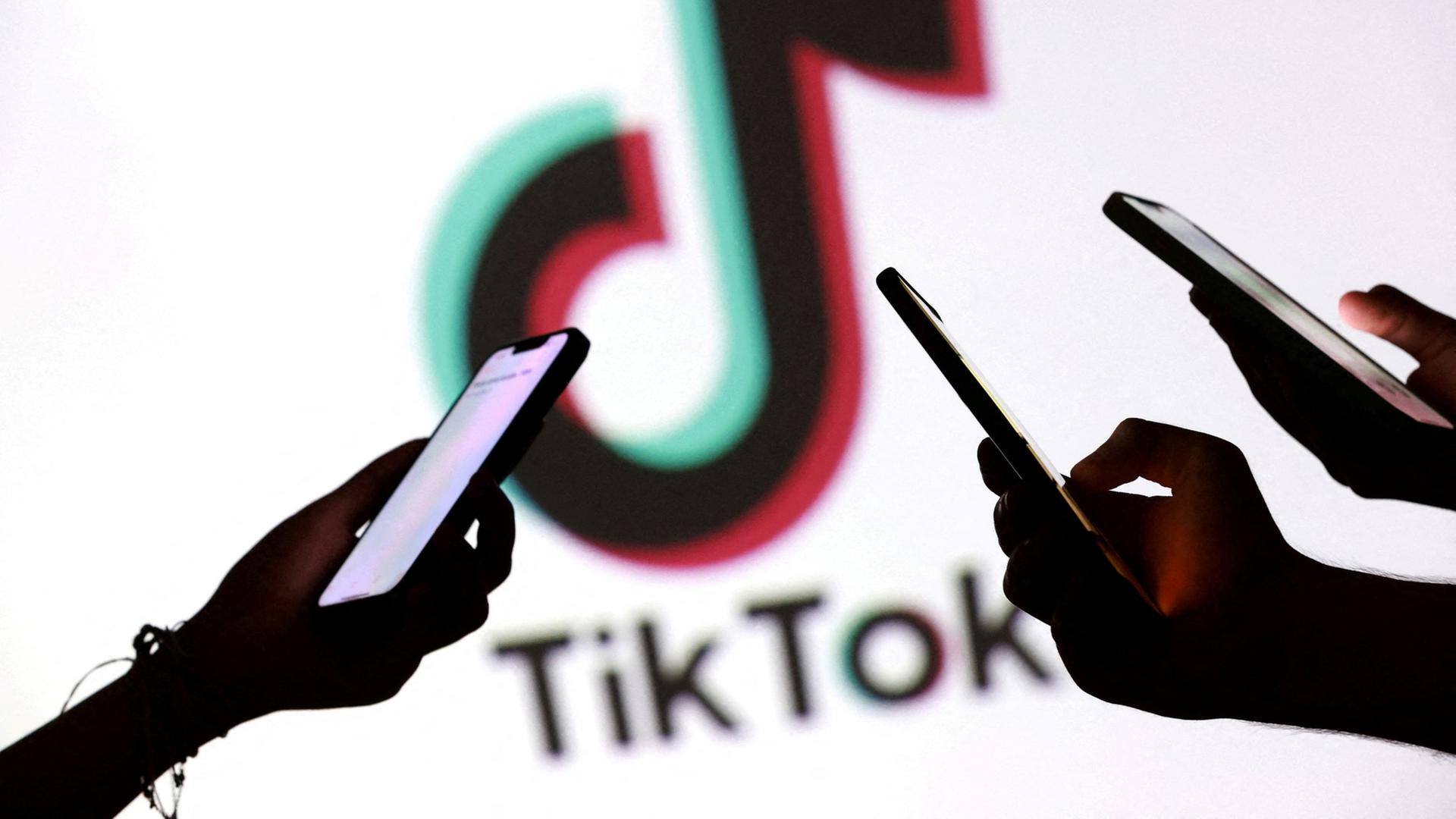 Menschen halten Smartphones in der Hand vor einem TikTok-Logo im Hintergrund. | REUTERS/Dado Ruvic