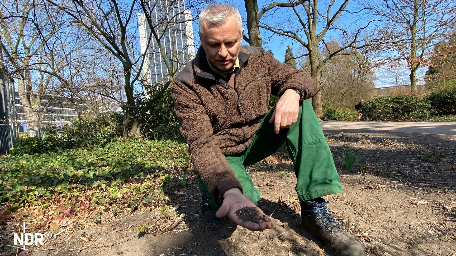 Ein Mann hält im Hamburger Park Planten un Blomen trockene Erde in der Hand | NDR/Jenny Witt Ein Mann hält im Hamburger Park Planten un Blomen trockene Erde in der Hand
