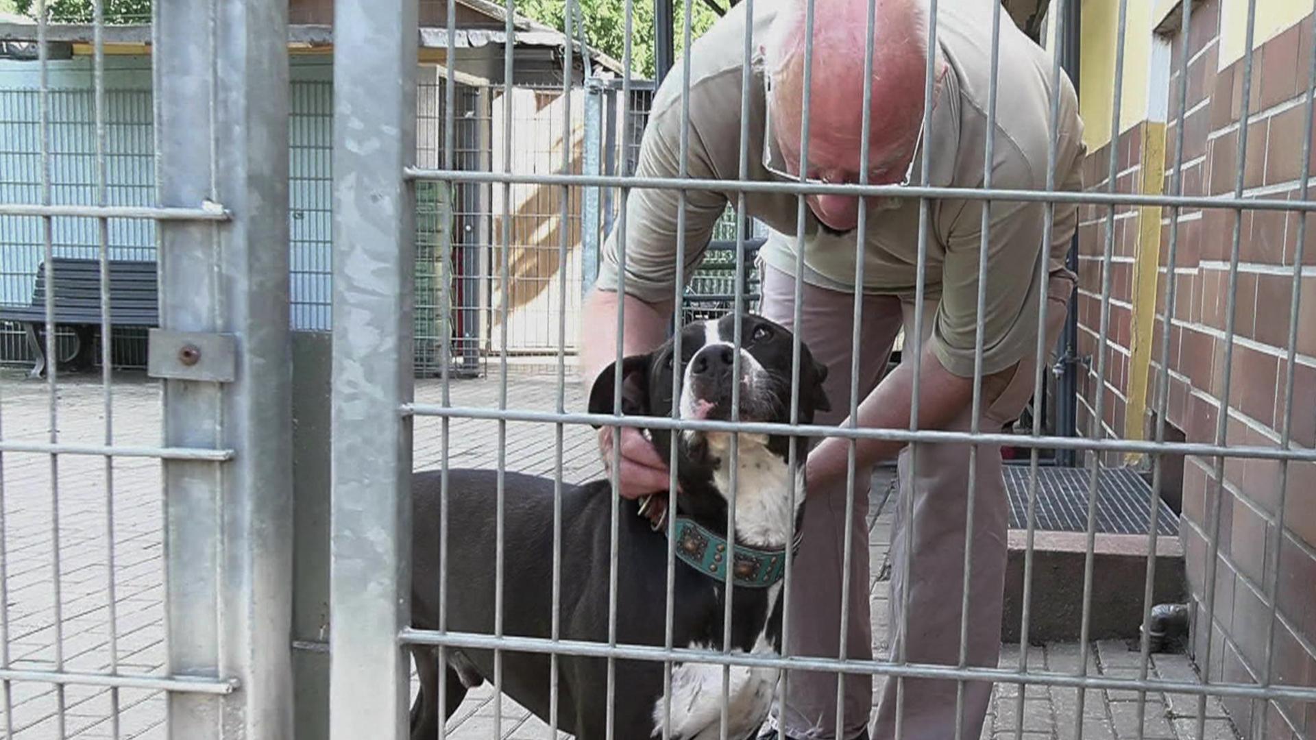 Tierheim Castrop-Rauxel freut sich über Gefangene