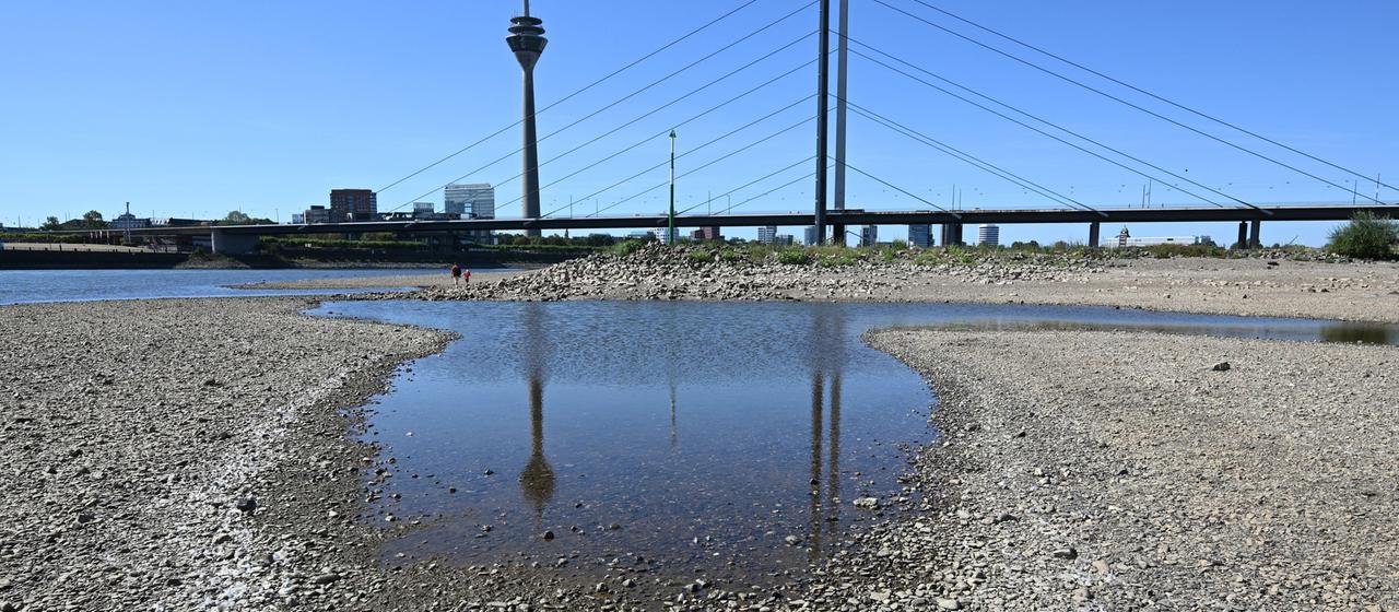 Der Rheinturm in Düsseldorf spiegelt sich bei extrem niedrigem Wasserstand auf dem Rhein in einer Lache