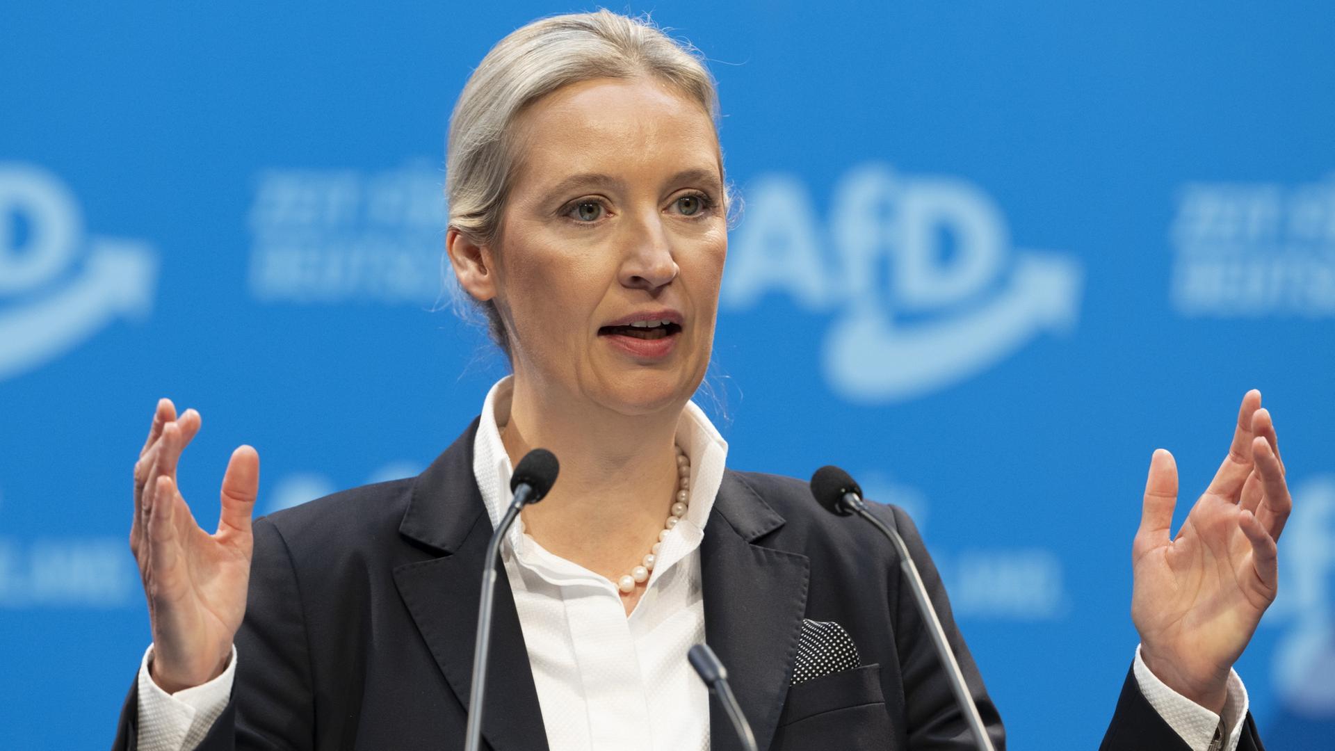 Porträt Alice Weidel: Radikal mit bürgerlichem Anstrich | tagesschau.de