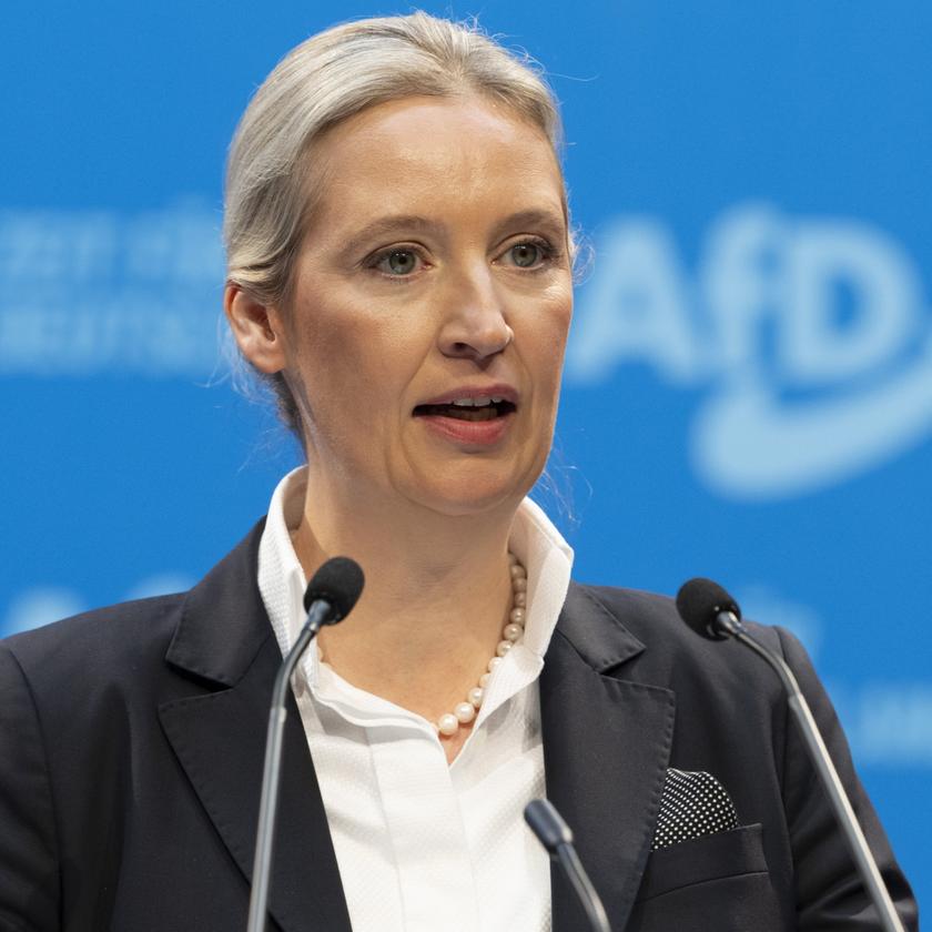 Porträt Alice Weidel: Radikal mit bürgerlichem Anstrich | tagesschau.de