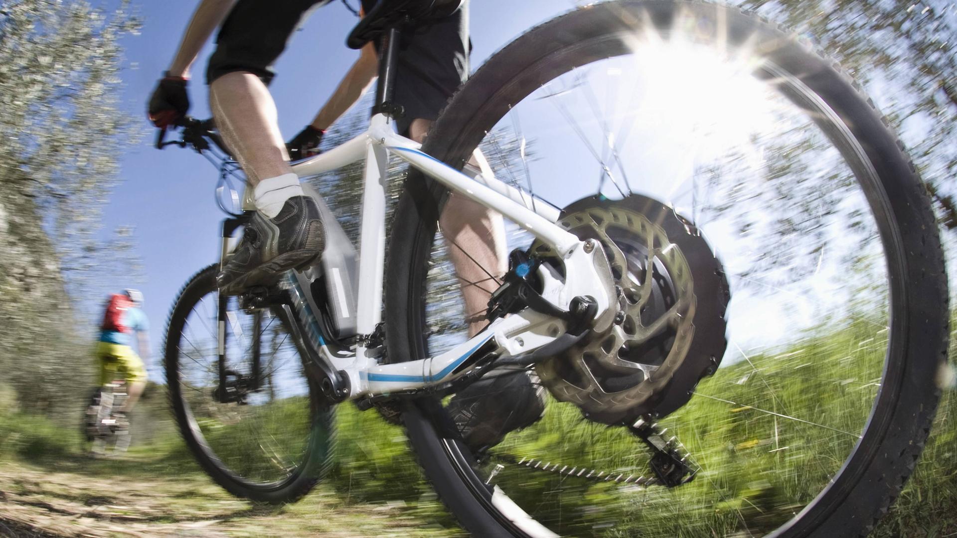 Mountainbike-Verbot im Wald: NRW arbeitet an strengeren Regeln