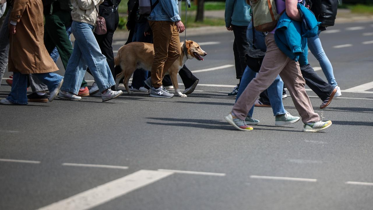 Deutsche fahren weniger Auto und gehen mehr zu Fuß