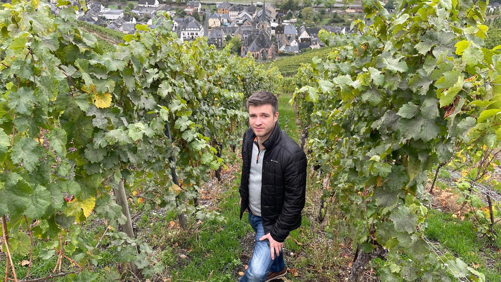 Das Familienweingut von Niklas Kees bewirtschaftet rund acht Hektar Weinberge. Die meisten liegen oberhalb von Graach.  | SWR, Christian Altmayer