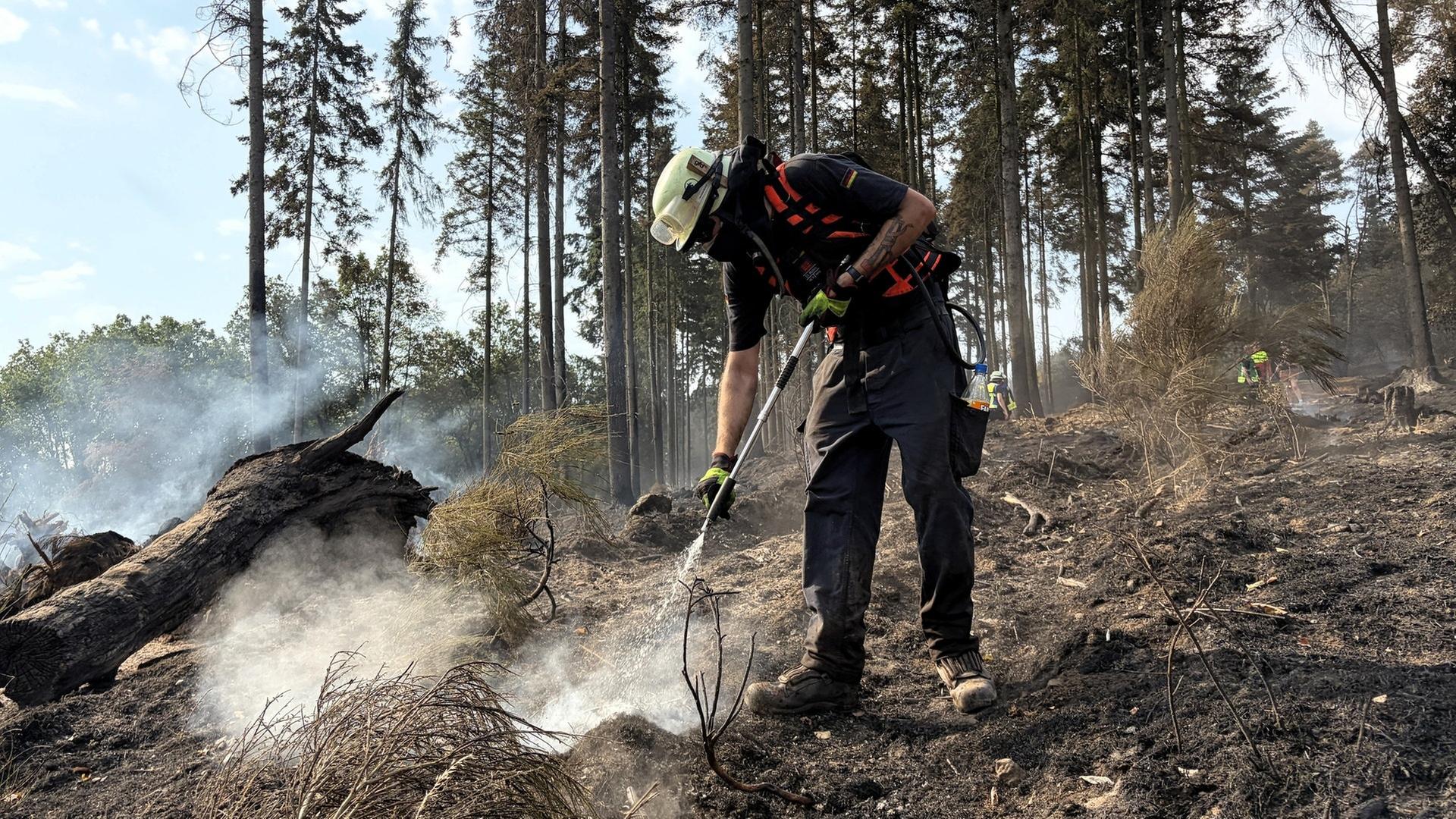 Waldbrand in der Vordereifel: Feuerwehr sucht letzte Glutnester, Behörden warnen Schaulustige