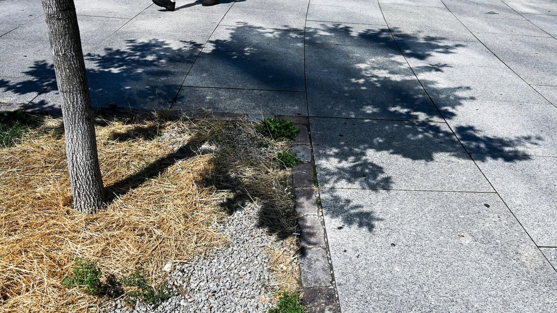 Lärm, Hitze, Abgase: Wie die Umwelt unsere Psyche belastet