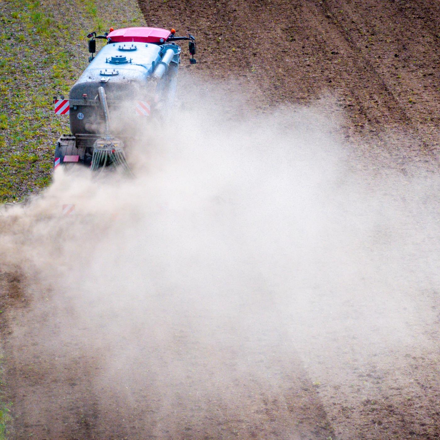 Folgen der Landwirtschaft: Dnger knnte Pollen aggressiver machen |  tagesschau.de