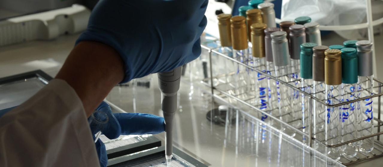 Mit einer Pipette wird in einem Labor des Paul-Ehrlich-Instituts Impfstoff auf eine Glasplatte aufgetragen.