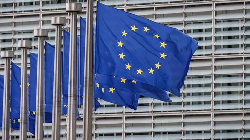Irland legt Kompromiss vor - Merz ist dagegen