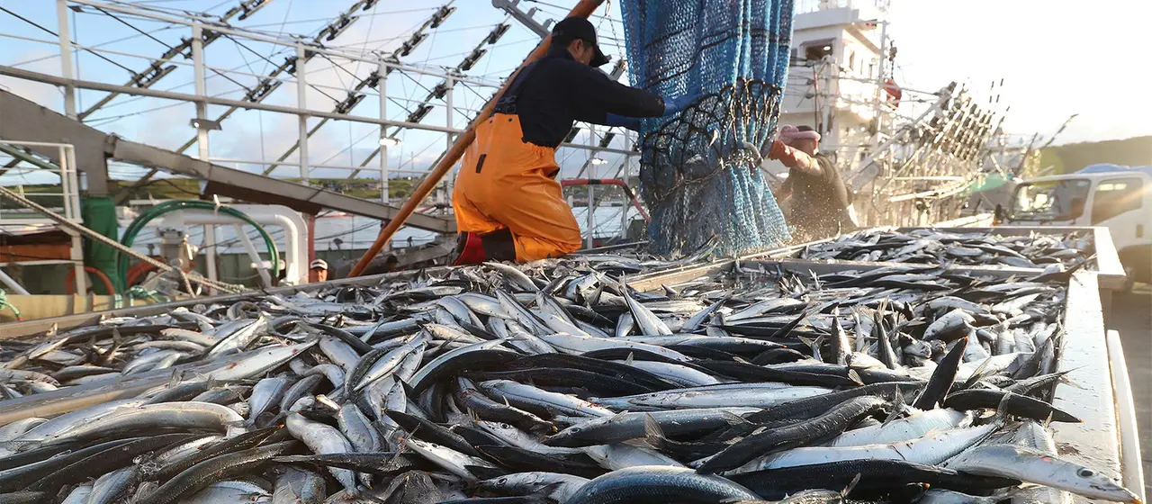 Abkommen für nachhaltige Fischerei tritt in Kraft Abkommen für nachhaltige Fischerei tritt in Kraft