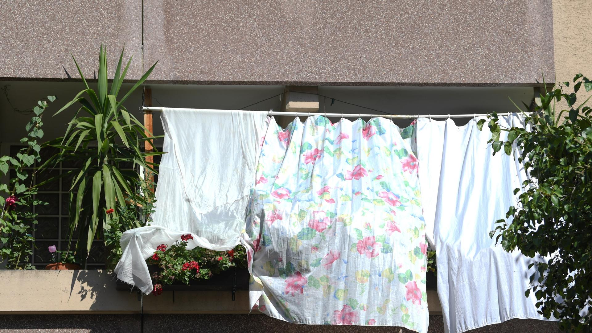 Wetter: Hessen erlebt den heißesten Sommer seiner Geschichte