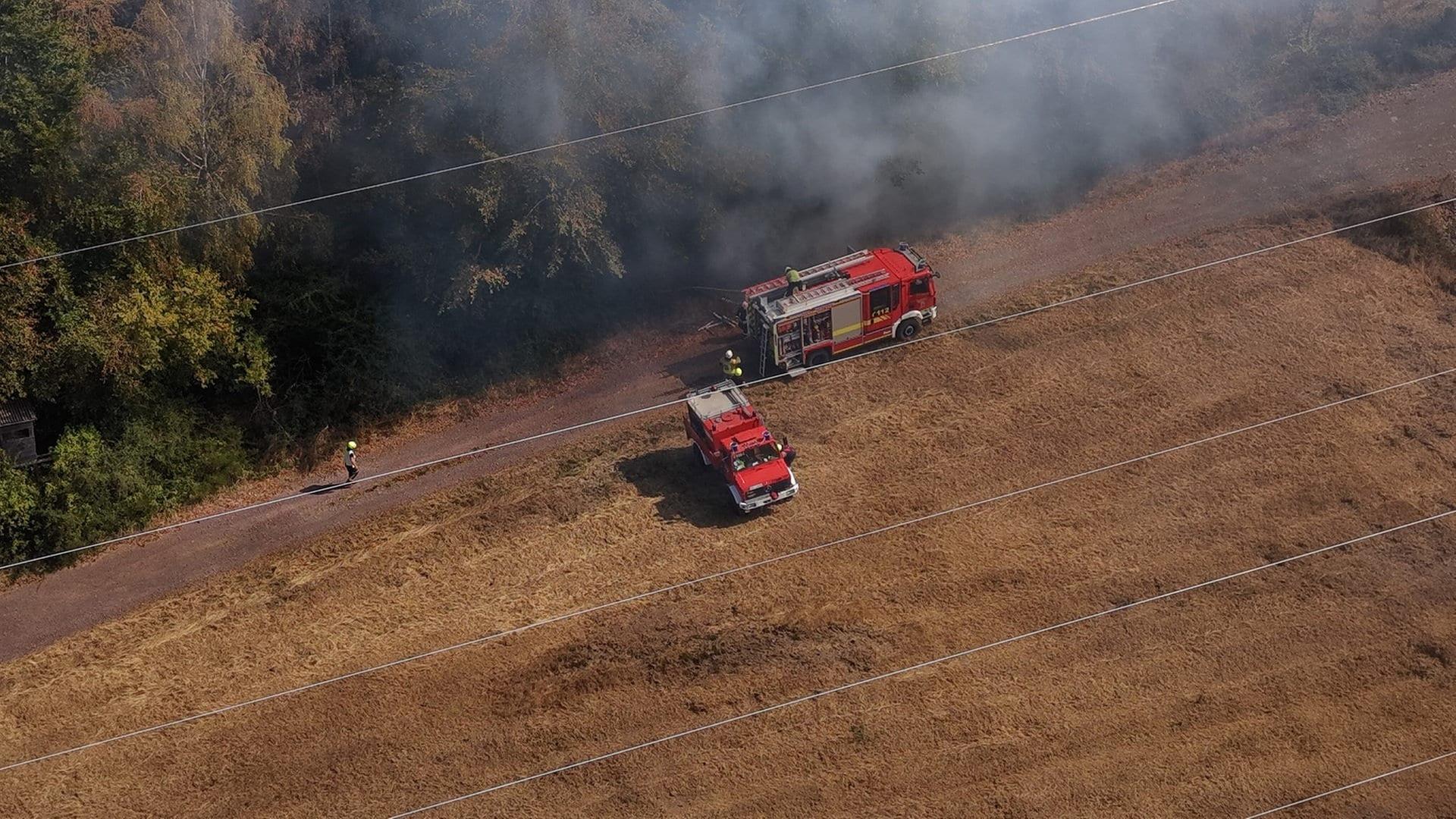 Beim Waldbrand in der Nähe der Ortsgemeinde Bengel (Landkreis Bernkastel-Wittlich) waren zeitweise mehr als 400 Feuerwehrleute im Einsatz. | dpa Bildfunk, Mosel-News-TV