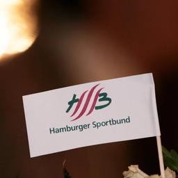 Ein Fähnchen mit HSB Logo 