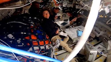 Die Crew der "Artemis 2" (AFP PHOTO / NASA)