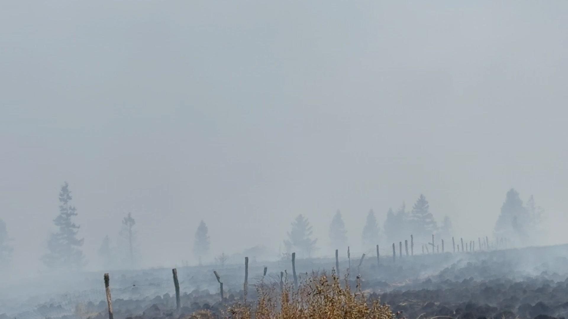 "WDR extra" zu den Waldbränden im Westen