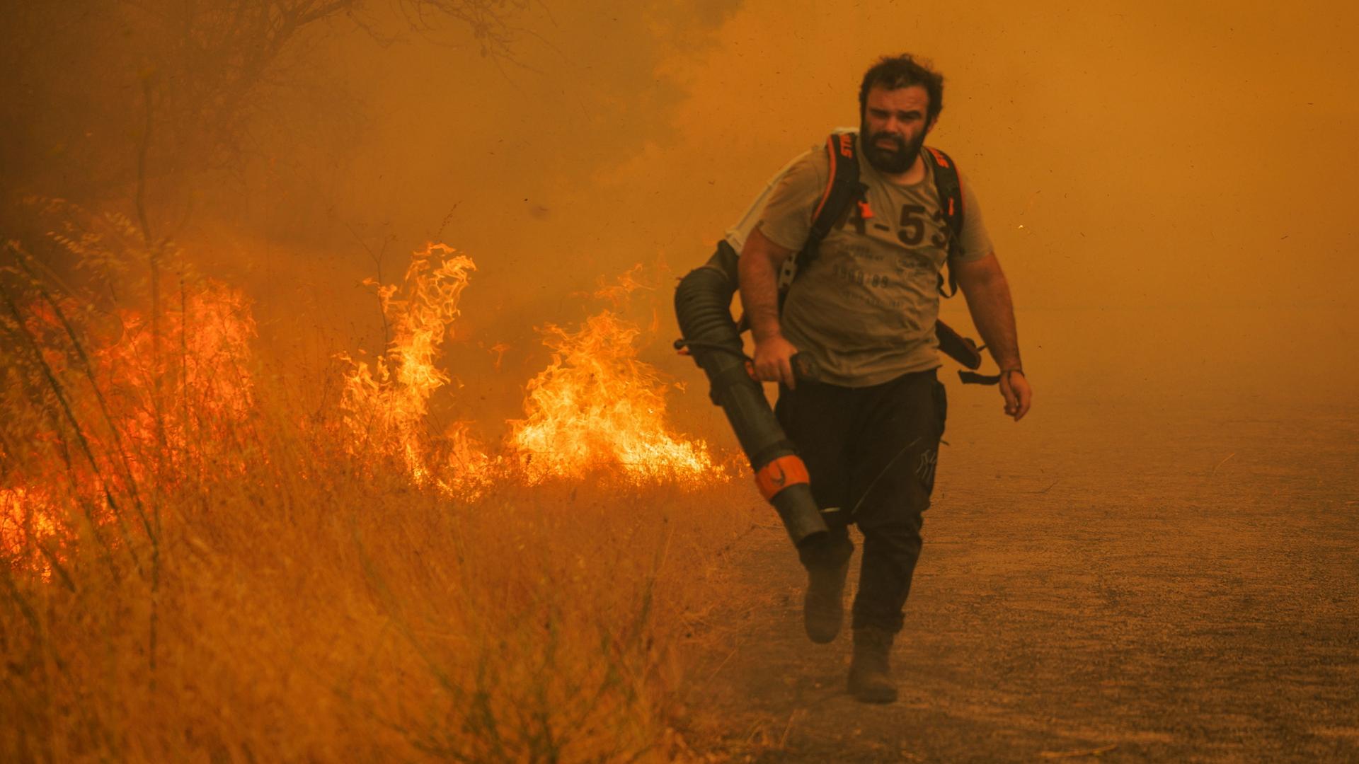 Auch Portugal bittet EU um Hilfe im Kampf gegen Waldbrände