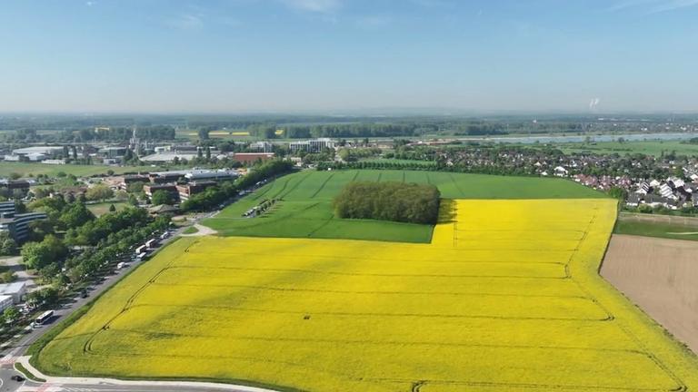 Ansicht vom geplanten Standort des Trainingszentrums von oben