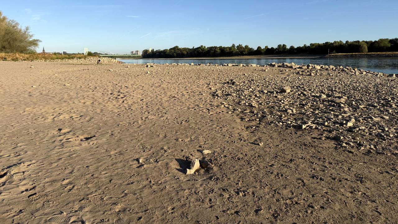 Niedrigwasser im Rhein: Folgen für Logistik und Landwirtschaft