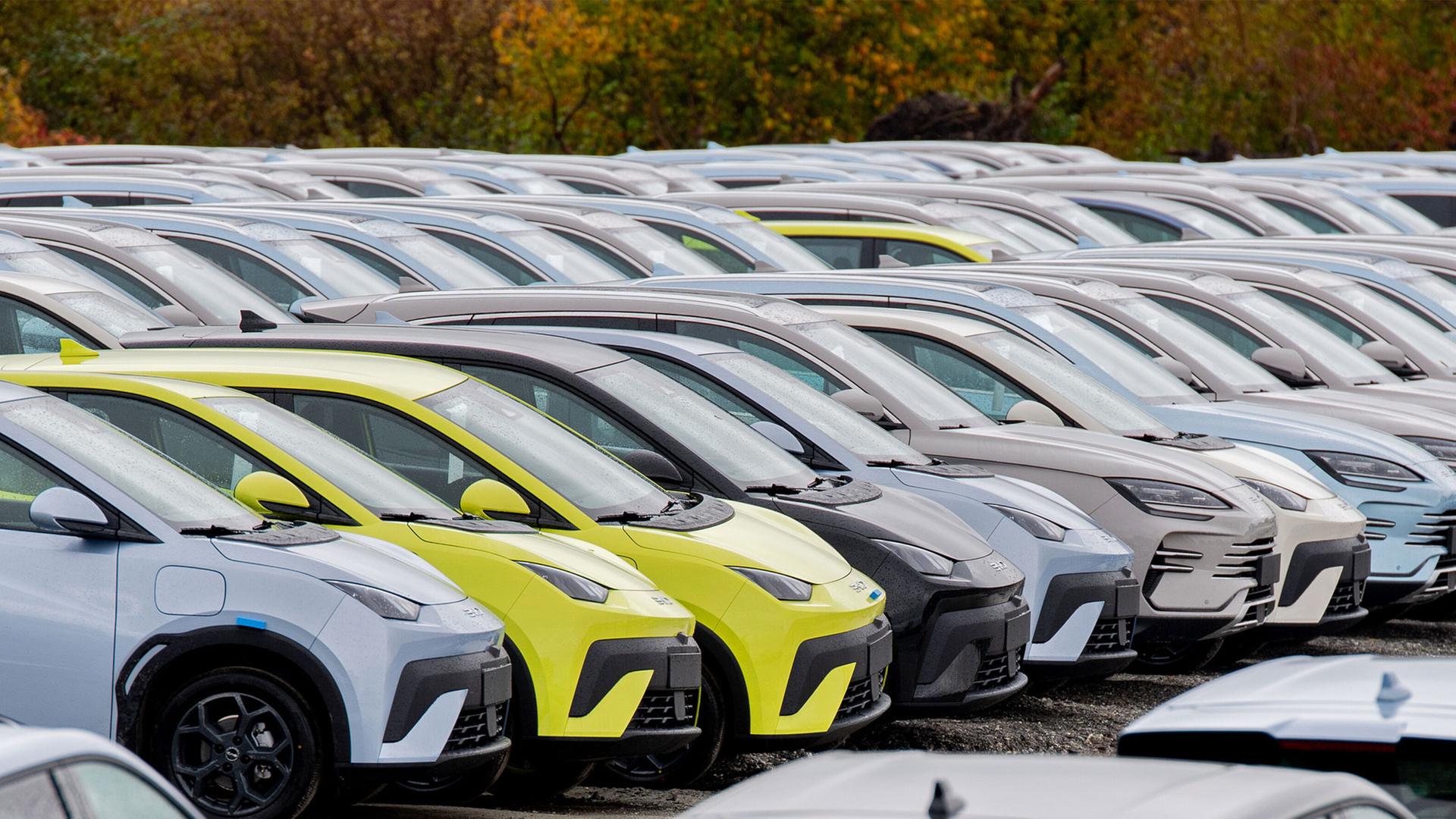 Zahlreiche neue Elektrofahrzeuge von Byd stehen auf einem Parkplatz. | picture alliance/dpa