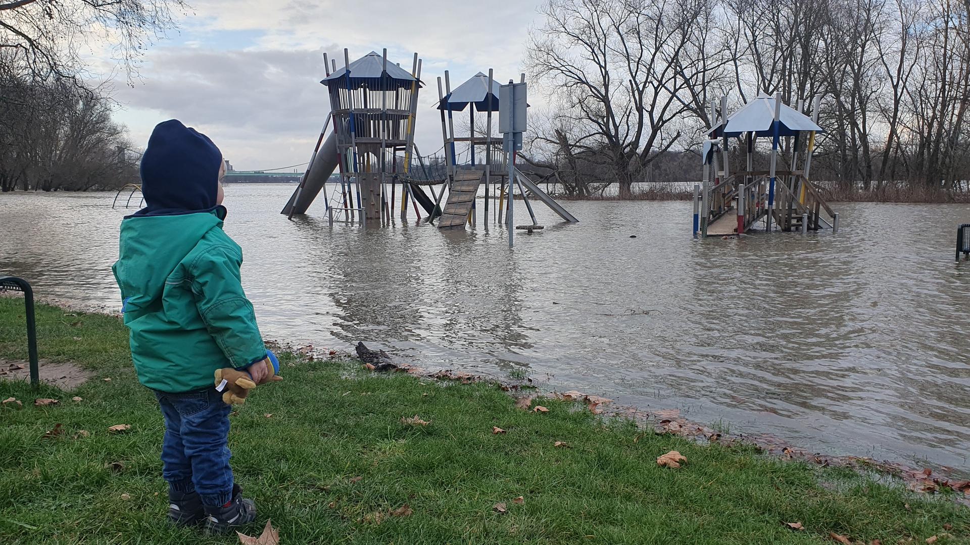 Hoher Pegel, Rhein führt viel Wasser: Aber kein extremes Hochwasser