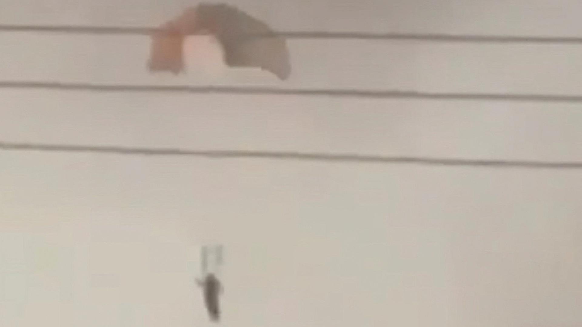 Eine Person springt mit dem Fallschirm in Al Jahra (Kuwait), wie dieses Standbild aus einem am 2. M�rz 2026 ver�ffentlichten Social-Media-Video zeigt. | Social Media/via REUTERS