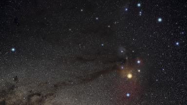 Scorpion-Konstellation am Sternenhimmel