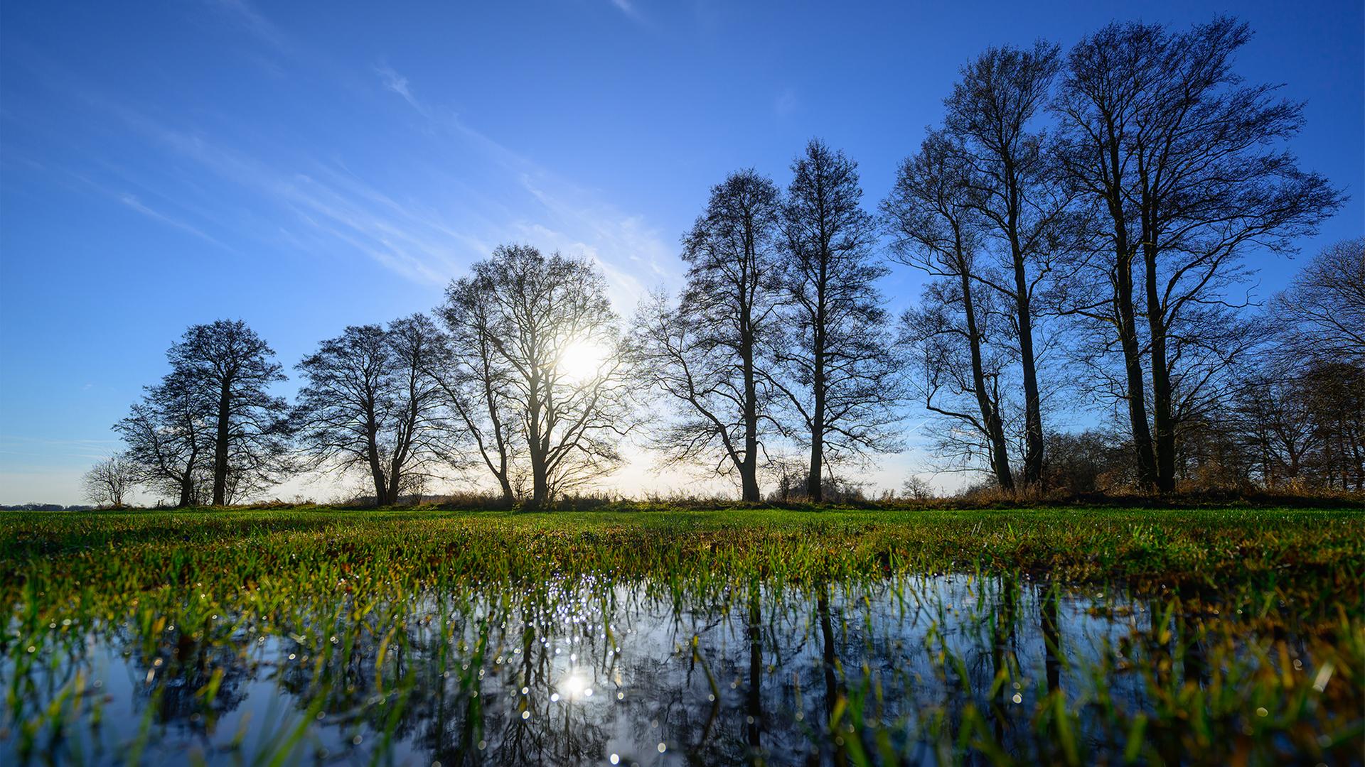 Kahle Bäume spiegeln sich auf einer überschwemmten Wiese im Spreewald. | dpa