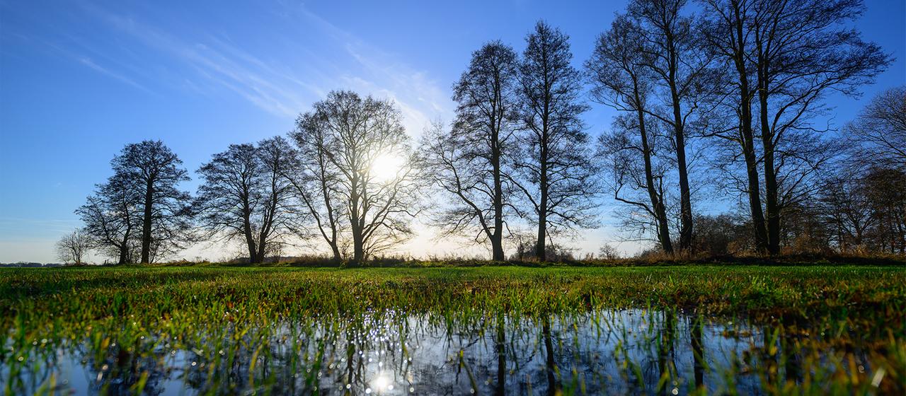 Kahle Bäume spiegeln sich auf einer überschwemmten Wiese im Spreewald.