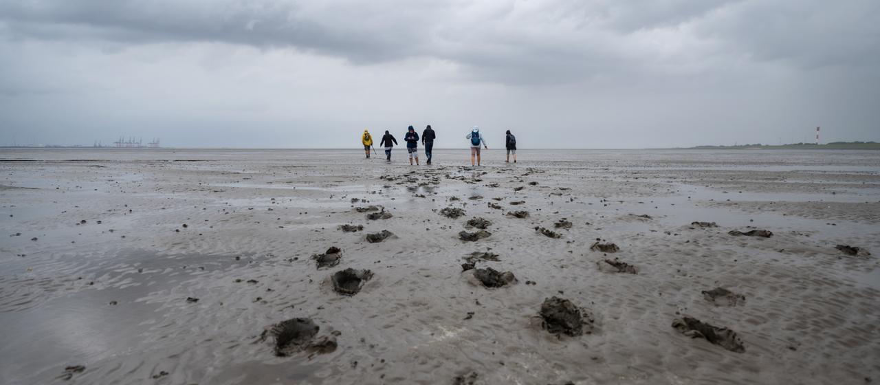 Wanderer im Wattenmeer | dpa Wanderer im Wattenmeer