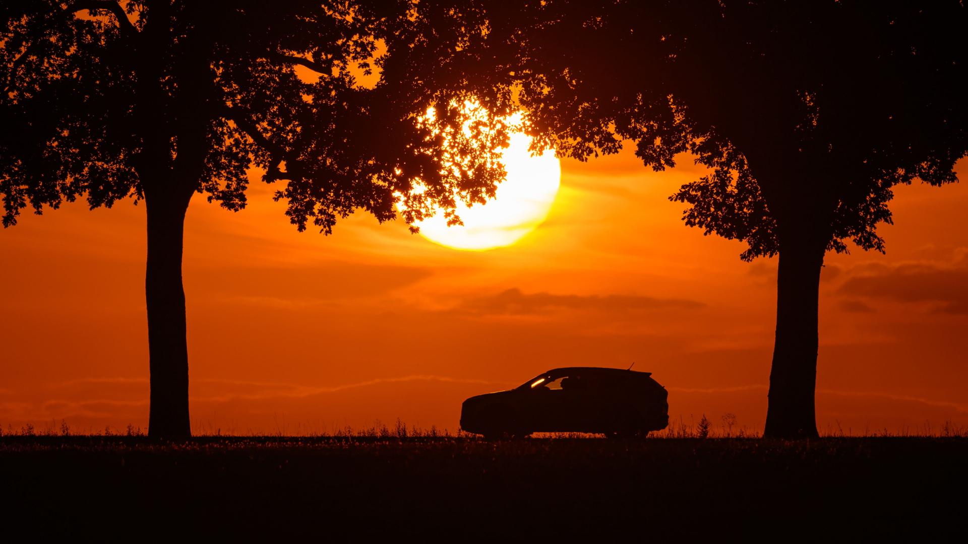 Sonnenuntergang über eine Allee im östlichen Brandenburg (Bild vom 11.08.2026) | Patrick Pleul/dpa