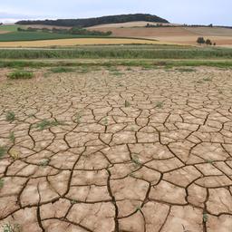 Wenige Pflanzen wachsen vereinzelt auf rissigem Ackerboden.