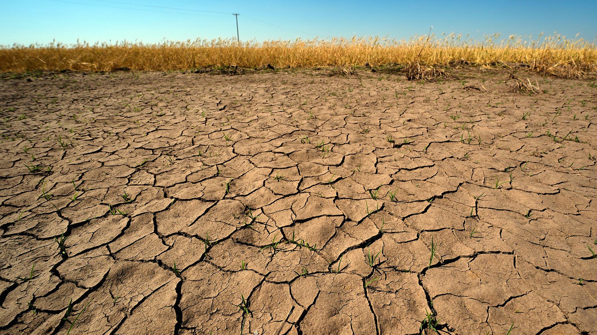 Trockene Erde neben einem Feld | AP Photo/Charlie Riedel