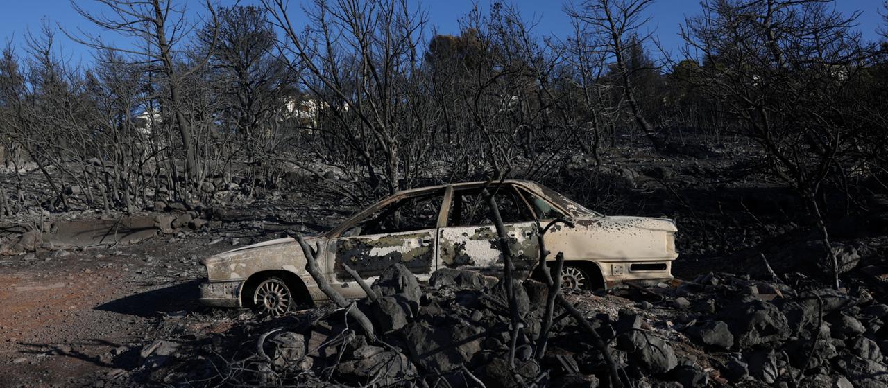 Verbranntes Land durch Waldbrand und ein verbranntes Auto.