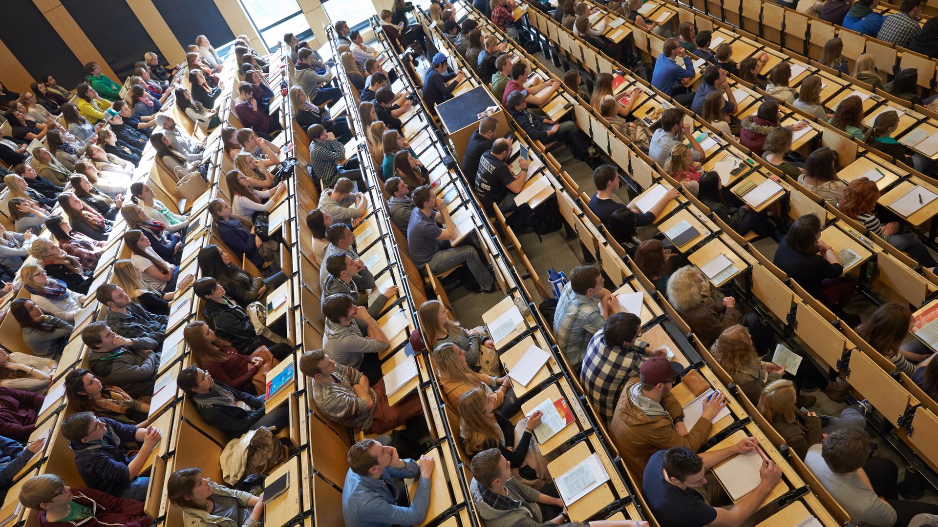 Studenten sitzen bei der Erstsemesterbegrüßung am Campus Koblenz  | dpa