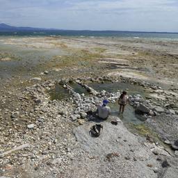 Ein Mann sitzt neben einem Kind am Gardasee. Der Wasserstand des Gardasees war nach einer schweren Dürre stark gesunken, wodurch die Steine, die die Halbinsel von Sirmione umgeben, freigelegt wurden. 