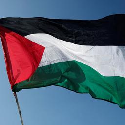 Die Flagge Palästinas flattert im Wind.
