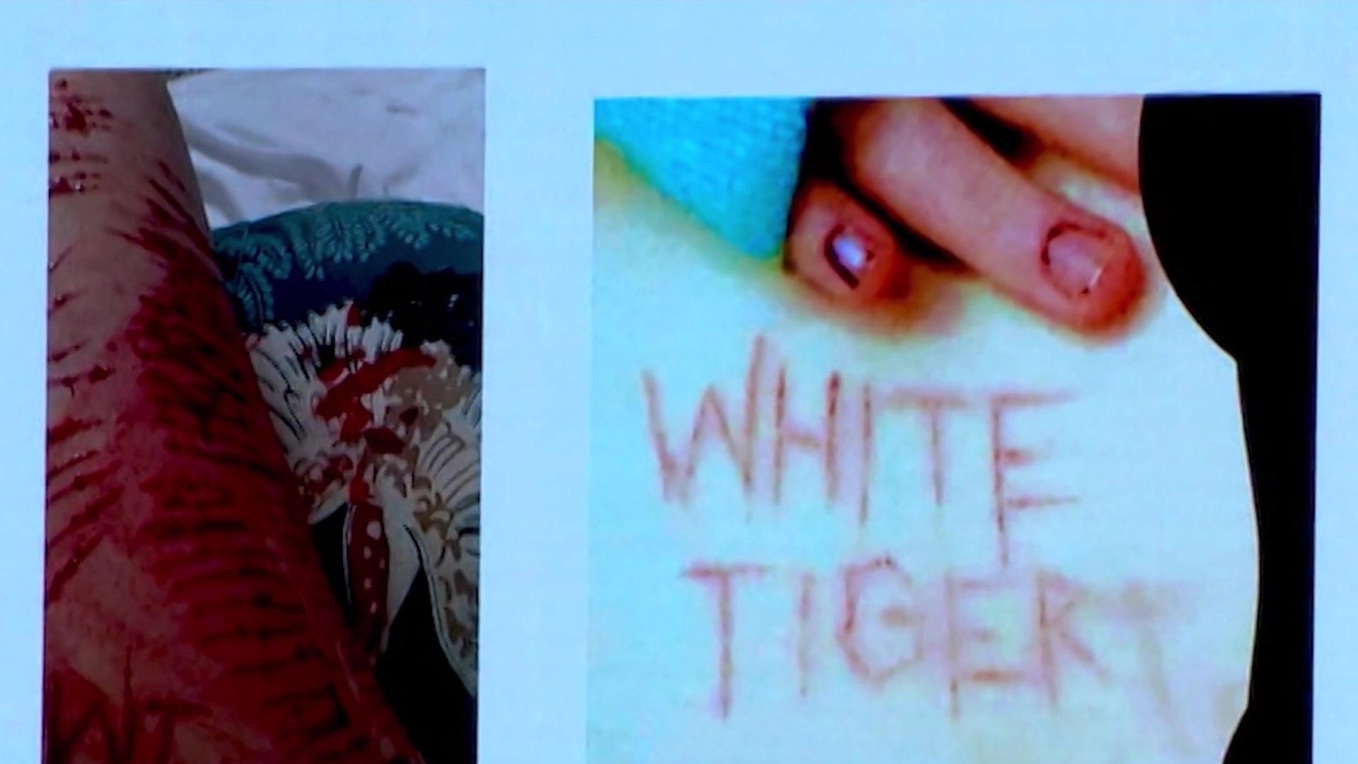 Sendungsbild | ARD-aktuell