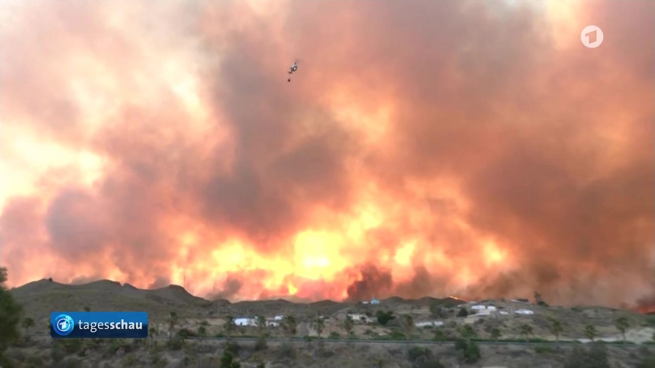Mindestens zwölf Tote bei Waldbrand in Andalusien