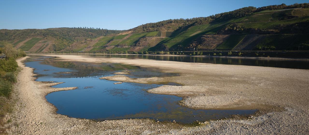 Riesige Sandbänke sind im Rhein bei Osterspai zu sehen.