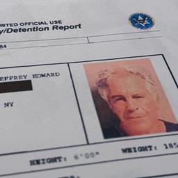 Haftbericht Epsteins vom 6. Juli 2019 