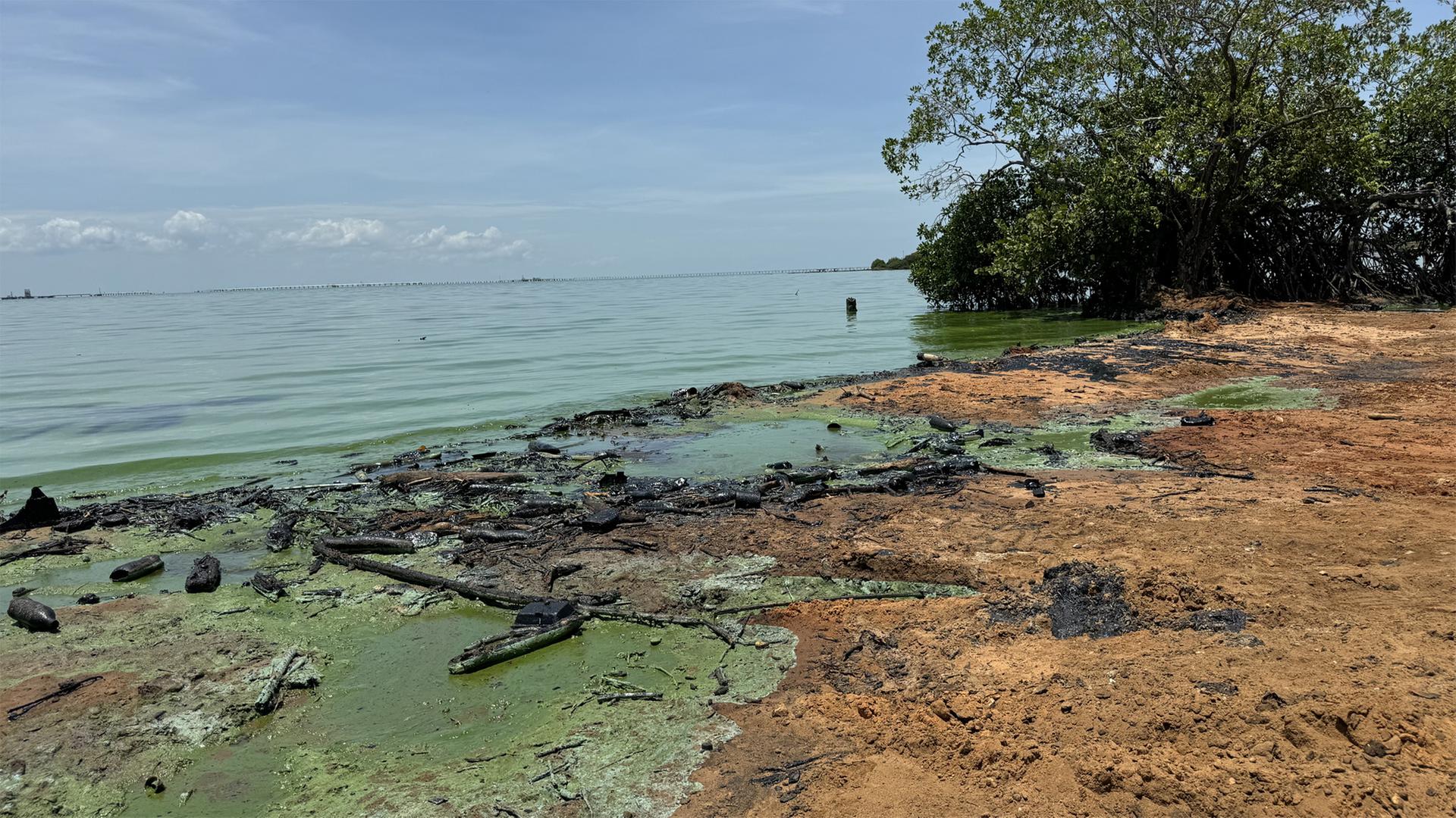 Der Lago Maracaibo in Venezuela (Aufnahme von 2024) | Anne Demmer
