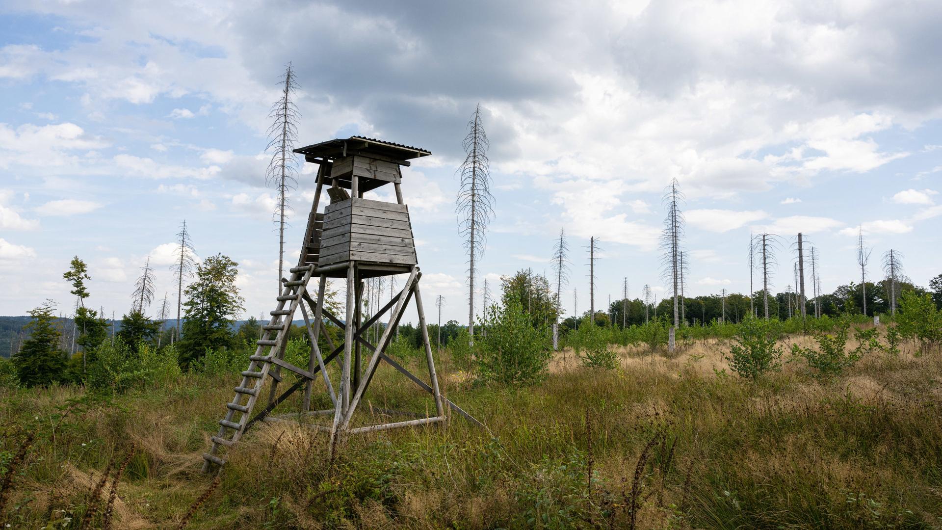 Tödlicher Jagd-Unfall in Warburg: 23-Jähriger aus Paderborn gestorben
