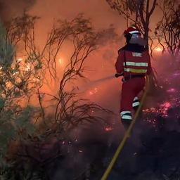 Einsatzkräfte bekämpfen ein Feuer in der spanischen Gemeinde Orallo im Nordwesten des Landes.