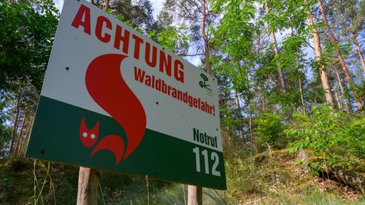 Waldbrandgefahr in Deutschland steigt
