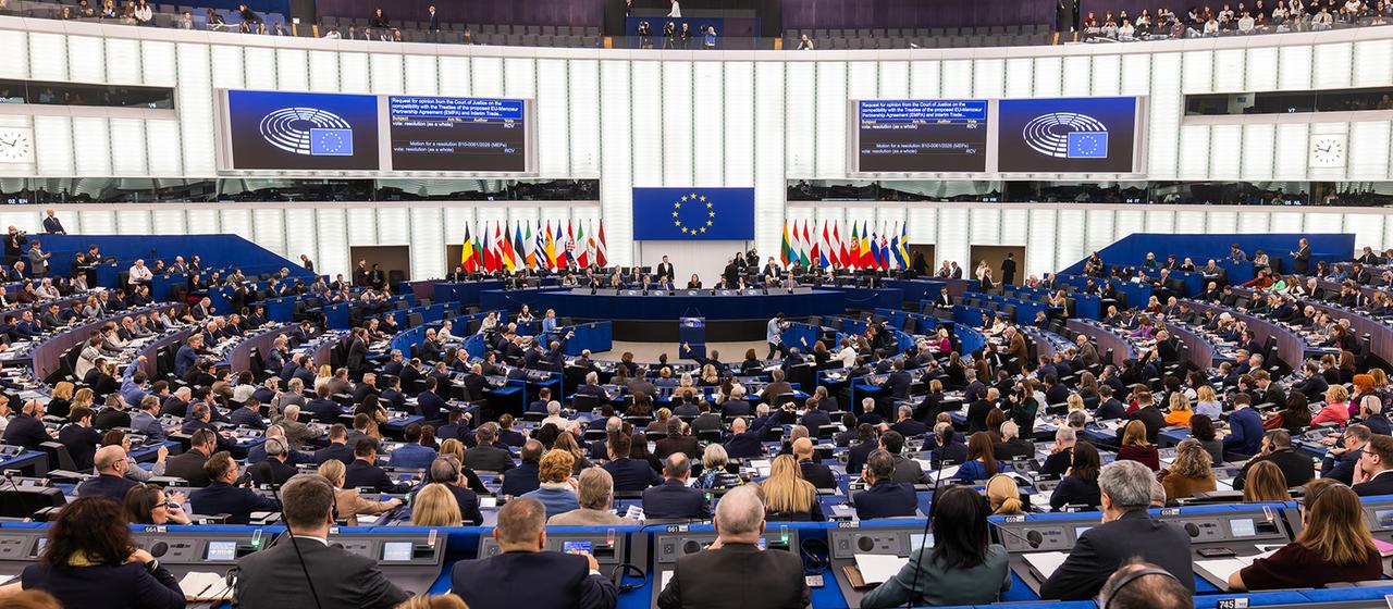 Abgeordnete des Europäischen Parlaments