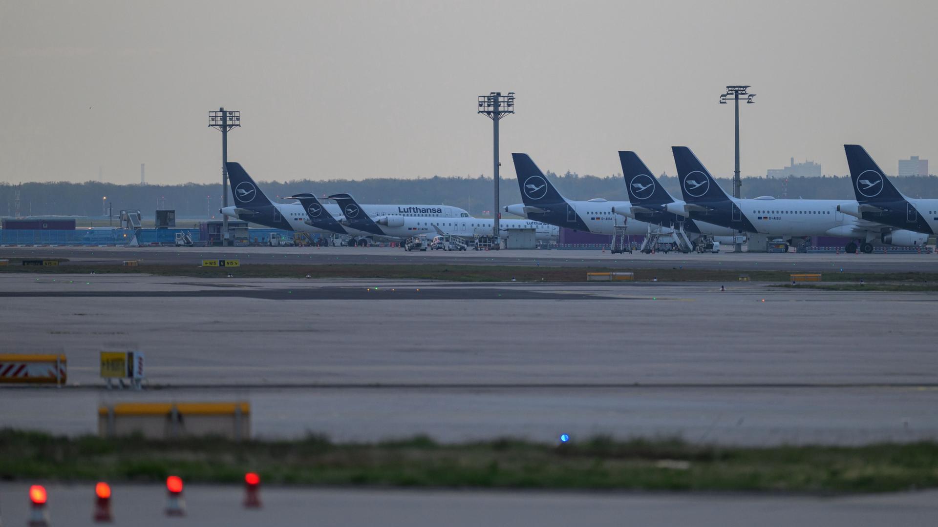 Flugzeuge der Lufthansa stehen auf Parkpositionen am Frankfurter Flughafen. | Hannes P. Albert/dpa